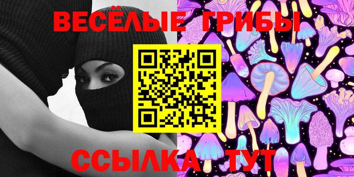 Бийск  Псилоцибиновые грибы GOLDEN TEACHER  Вход с VPN 